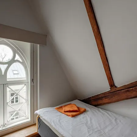 Airhome - Owl's Nest Talin