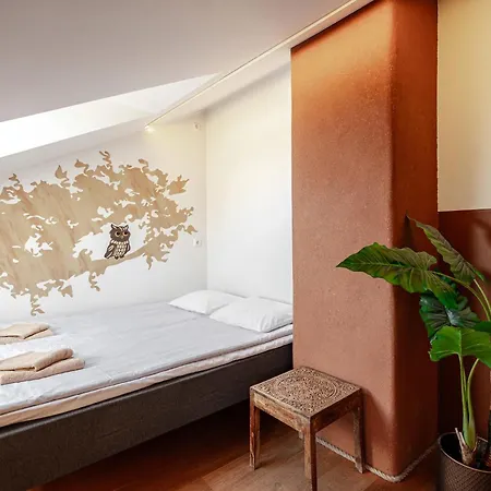 Airhome - Owl's Nest Talin