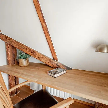 Airhome - Owl's Nest Talin