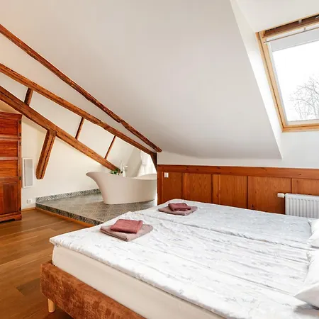 Airhome - Owl's Nest Talin